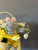 Композиция Солнечная с гермини